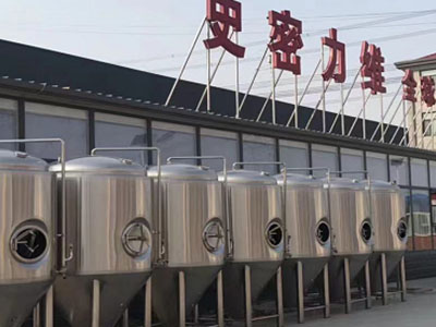 感城镇精酿啤酒设备厂—如何判断精酿啤酒设备的密封件需要更换？
